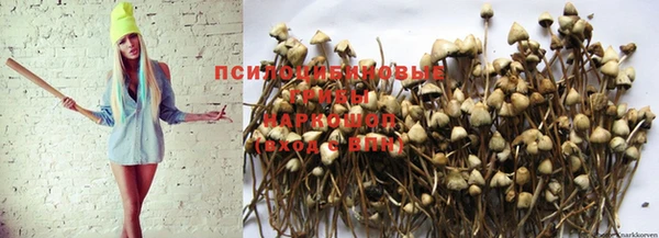бутик Алексеевка