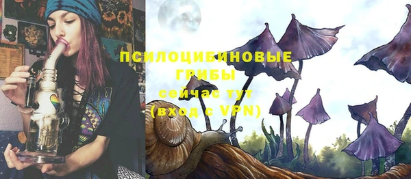 Альфа ПВП Алексин