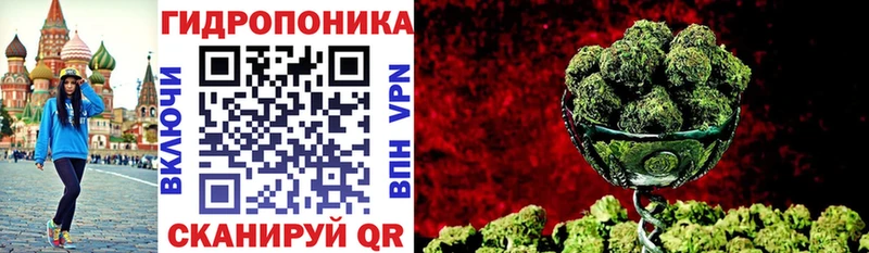 Купить  Углегорск  Бошки марихуана план 